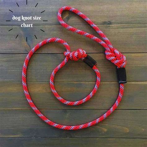 canine knotting|The Fascinating World of Dog Knotting: What You Need to.